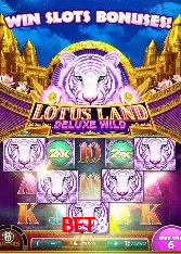 Design Responsivo bet8k